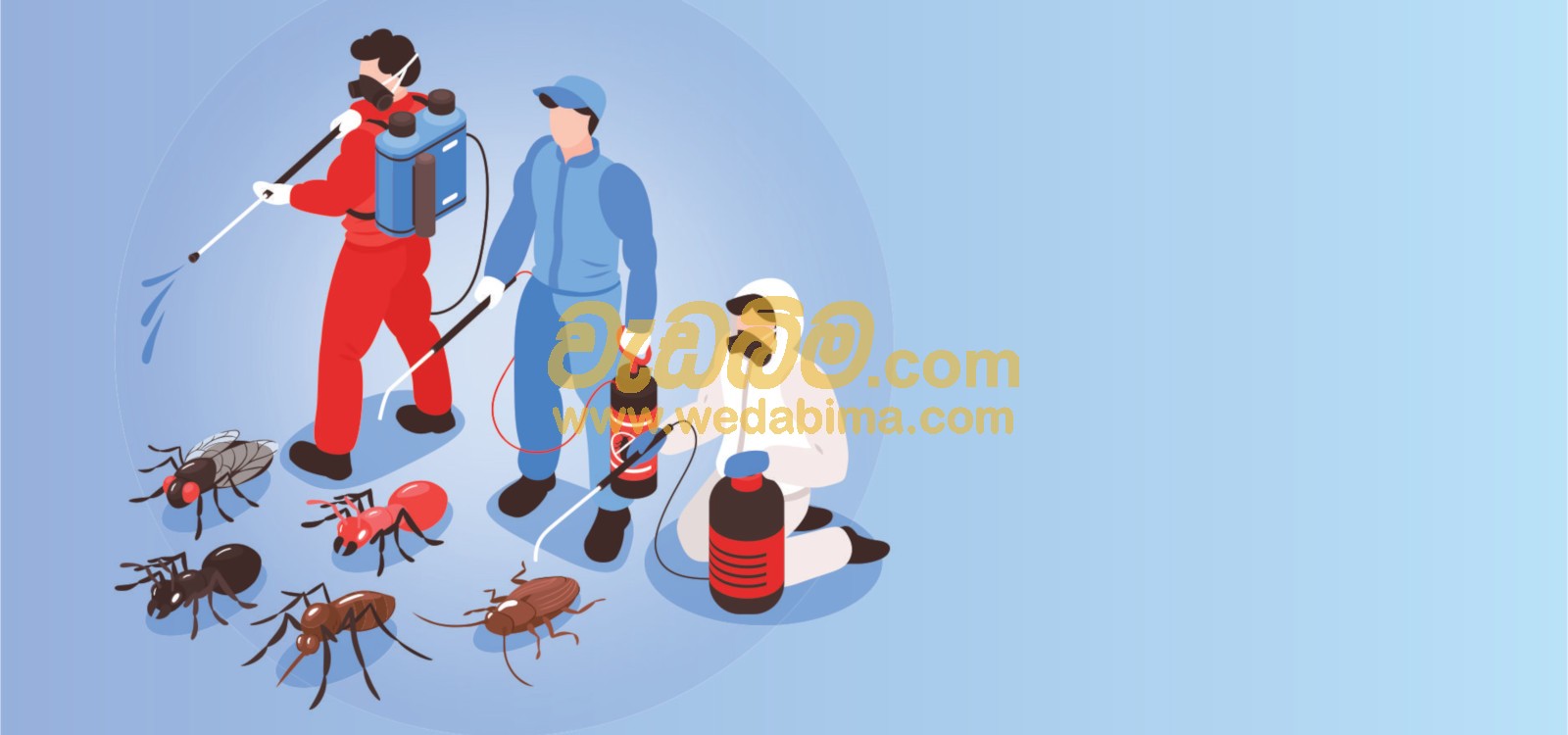 Anti termite treatment contractors in sri lanka