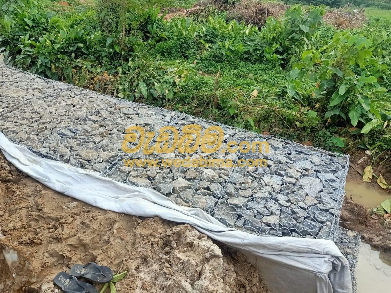 Cover image for Gabion Wall Contractors in colombo