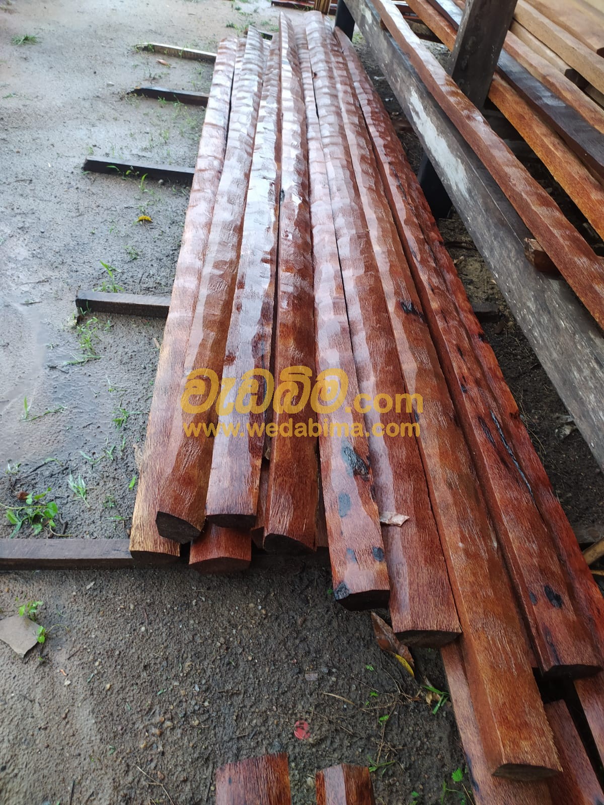 Teak Wood Price in Srilanka