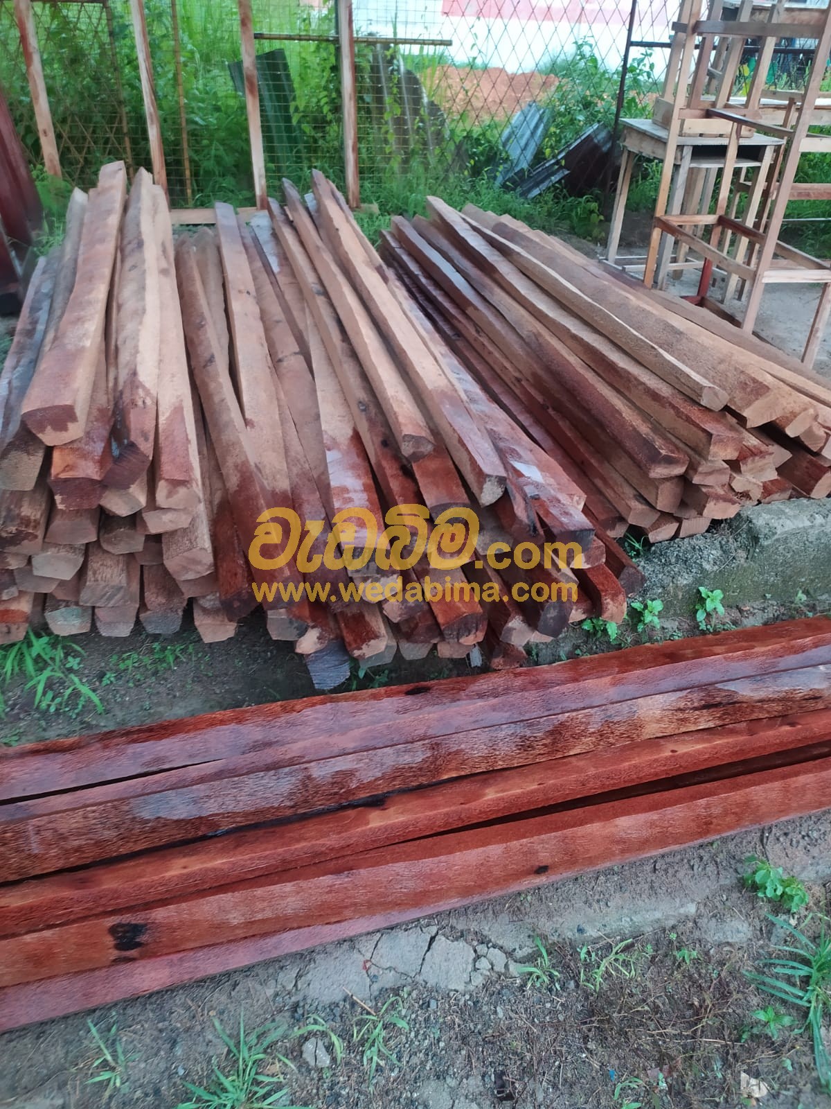 Teak Wood Price in Gampaha