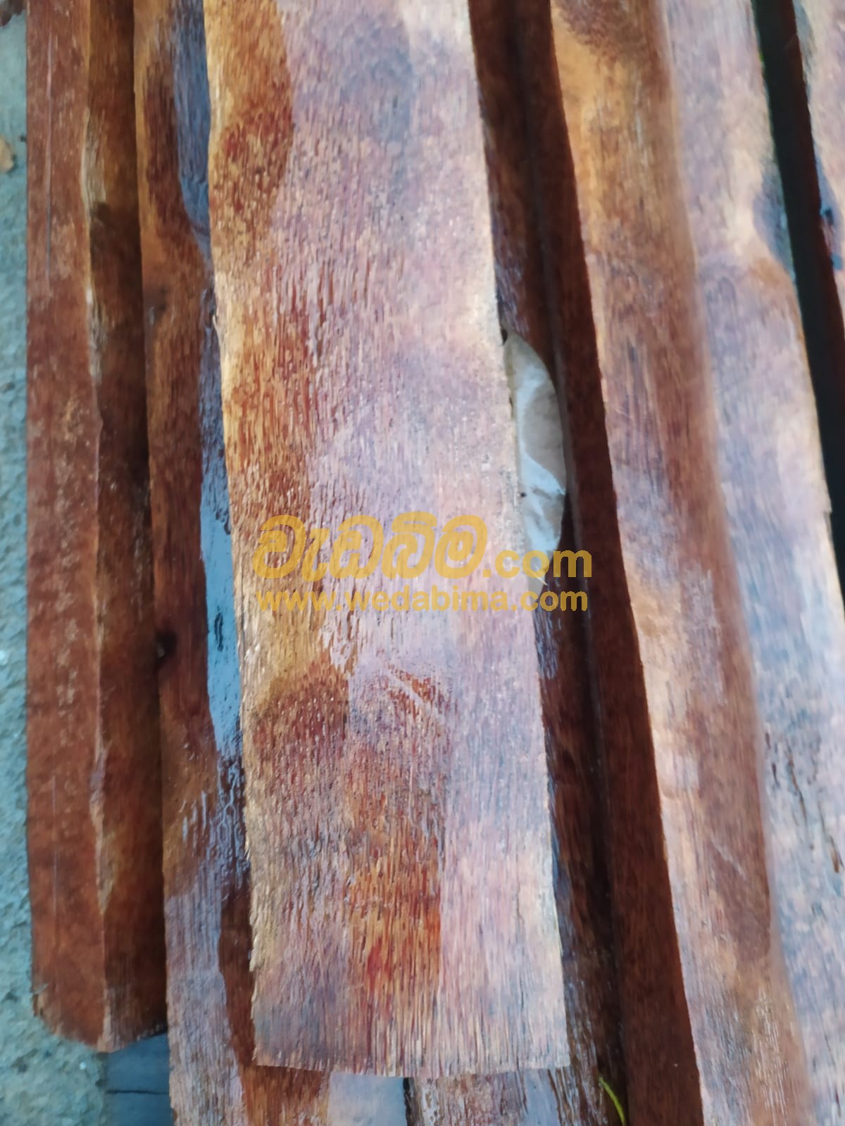 Mahogany Wood price in gampaha