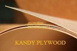 Cover image for KANDY PLYWOOD (PVT) LTD