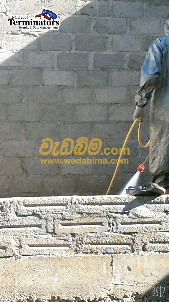 termite treatment contractors in sri lanka