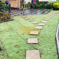 landscaping prices in sri lanka