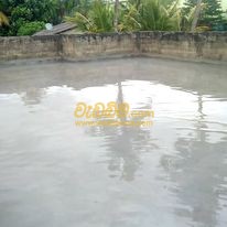 Rooftop Waterproofing price in Srilanka