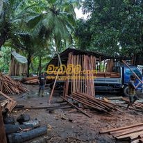 Cover image for Coconut timber price list in sri lanka