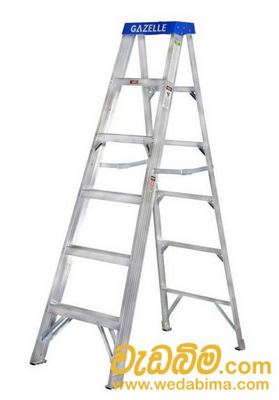 Cover image for Ladders for Rent