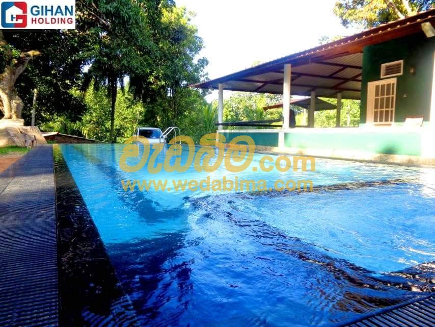 Cover image for Modern Swimming Pools Designs