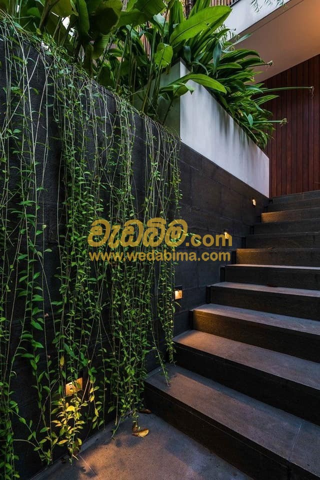 Decorative Indoor Plants - Kurunegala