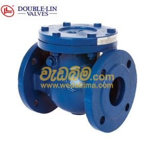 Cover image for Swing Check Valve PN-16 Cast Iron