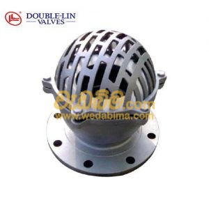 Cover image for Foot Valve, Flange Type Cast Iron
