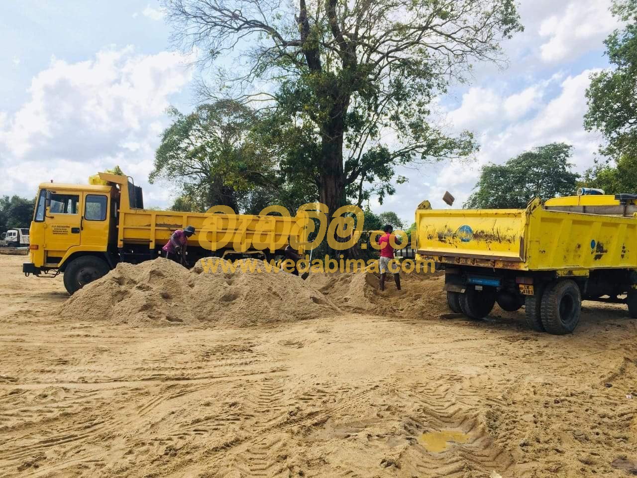 Cover image for River Sand Price in Sri - Kadavatha