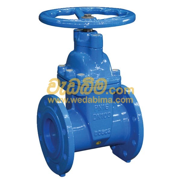 Cover image for flanged gate valve price in sri lanka