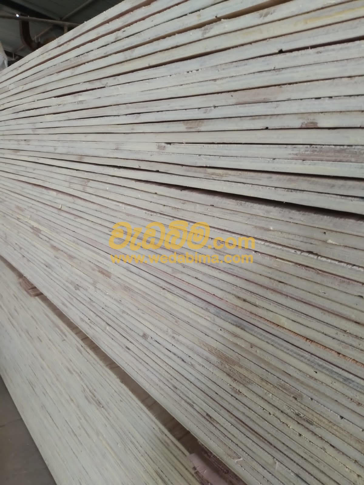 plywood board manufacture price in sri lanka