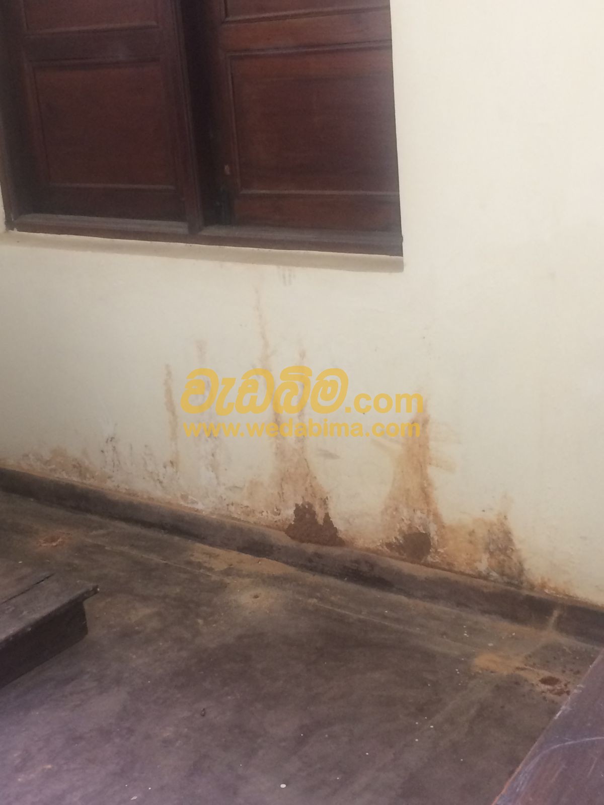 anti termite treatment chemicals in sri lanka
