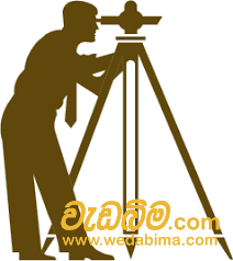 Cover image for land surveyor in sri lanka