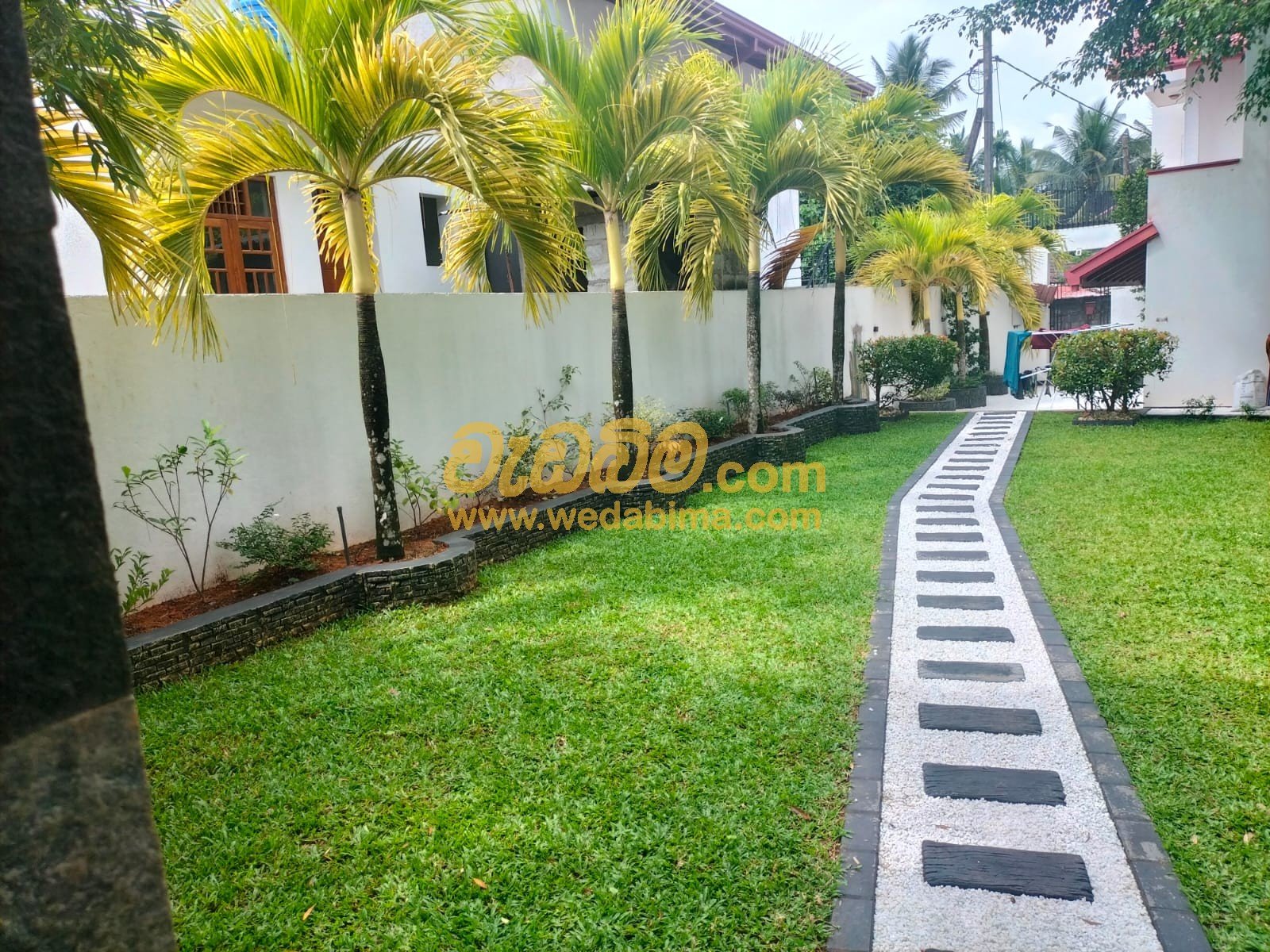 planting work in sri lanka