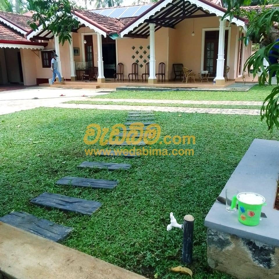 Cover image for landscaping prices in sri lanka