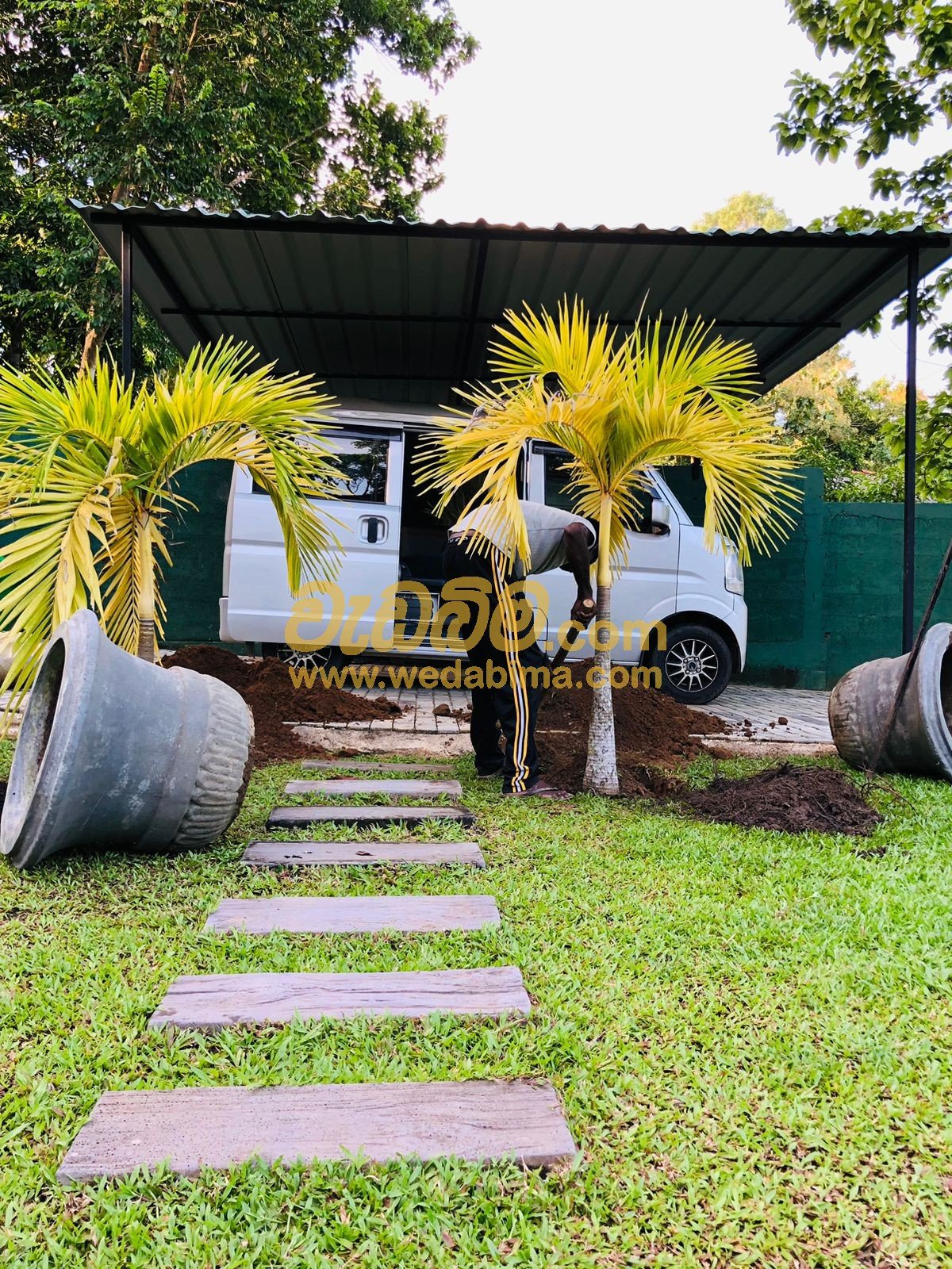 Cover image for Landscaping companies in Sri Lanka