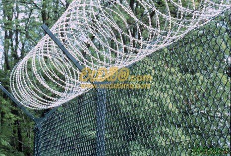 concertina barbed wire for Sale Colombo