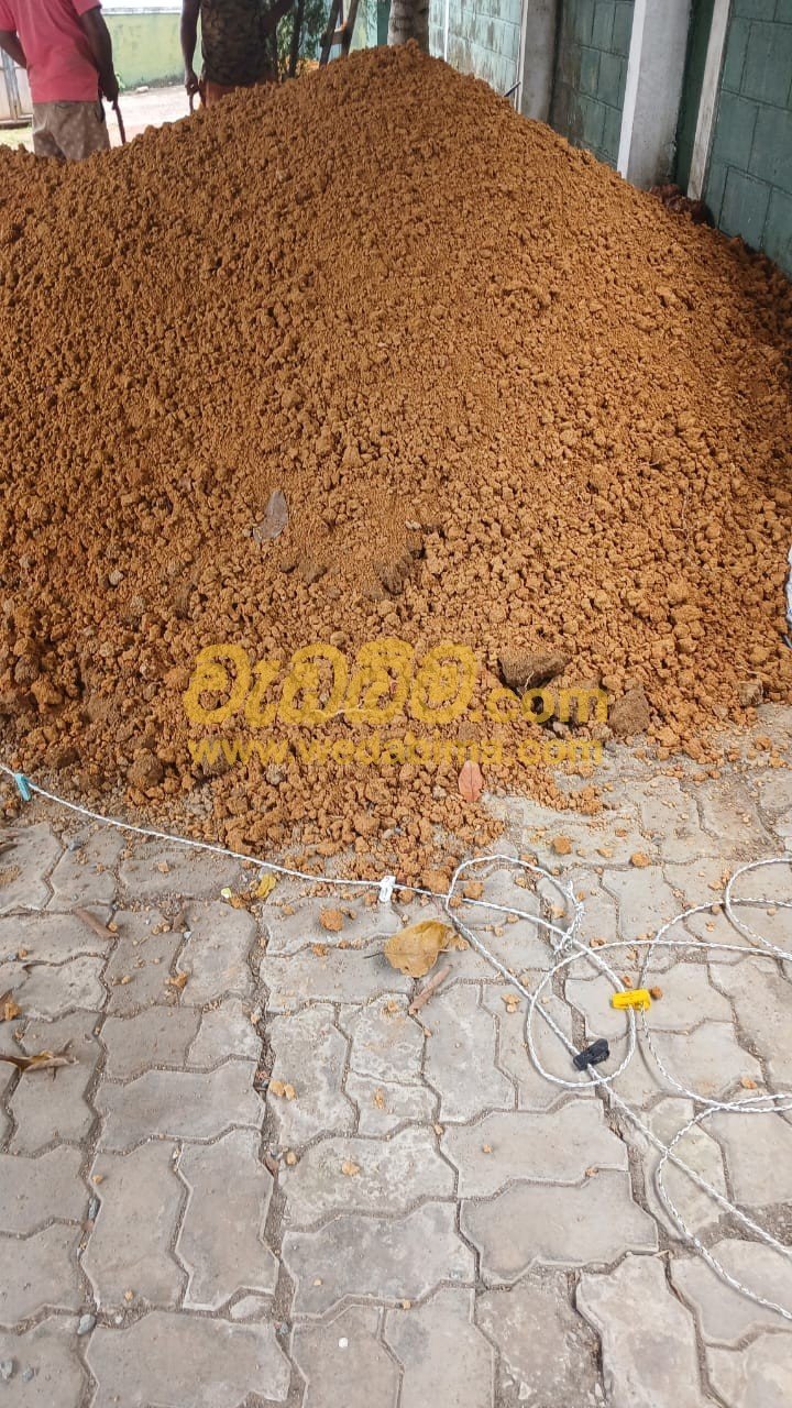 Sand for Sale at Best Price in Sri Lanka