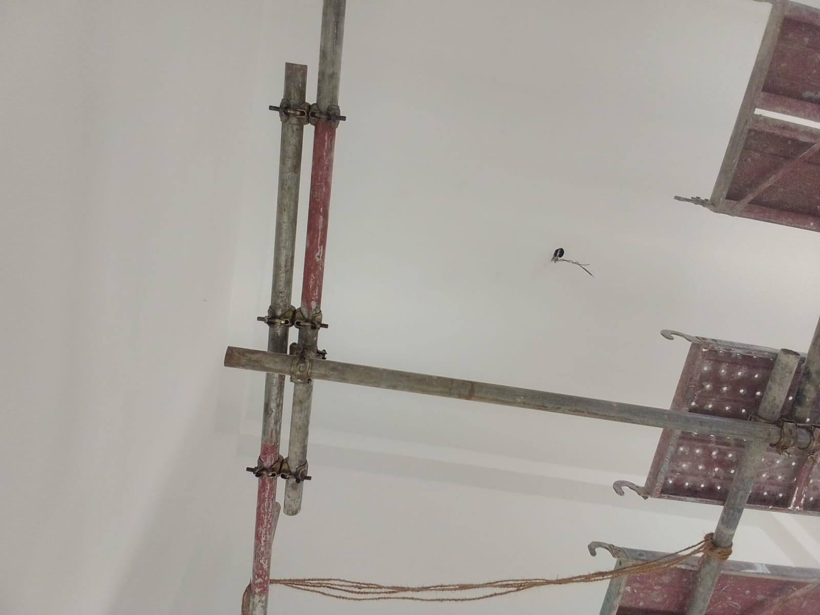 Wall putty price in galle, sri lanka