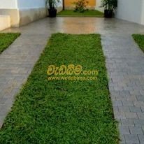 Cover image for Interlock paving price in Sri Lanka