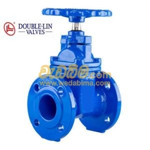 Gate Valve PN – 16 Cast Iron