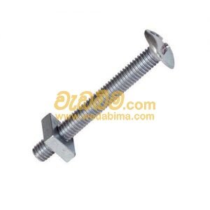 Roofing Bolt & Nut Galvanized