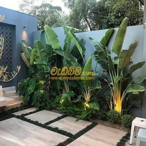 Garden plants suppliers in Sri Lanka