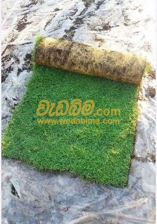 Grass Suppliers