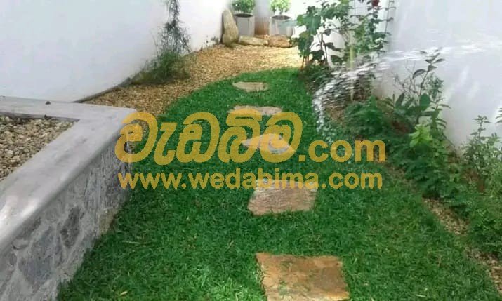Australian Grass Colombo