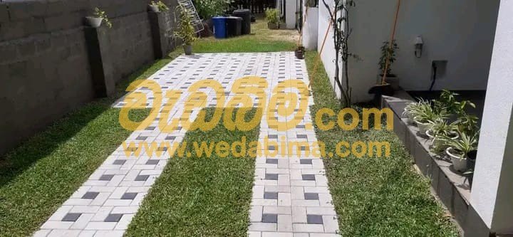 Buffalo grass price in Sri Lanka