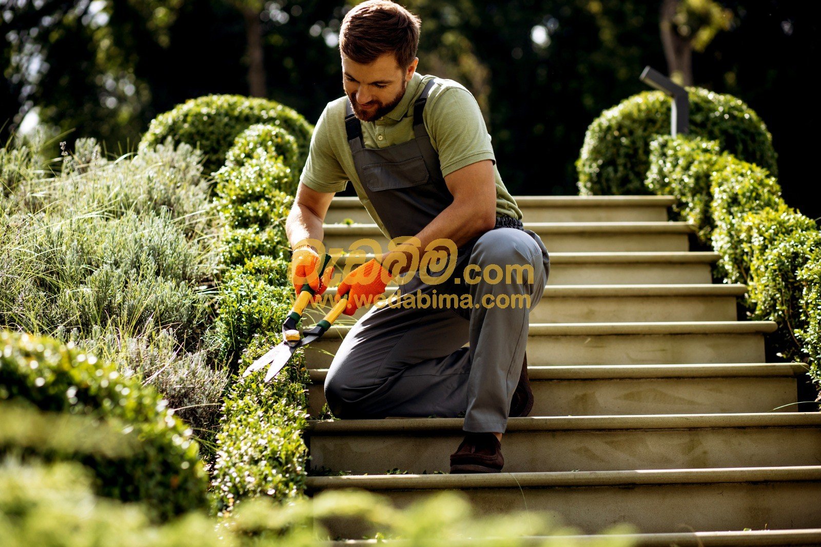 landscaping sri lanka