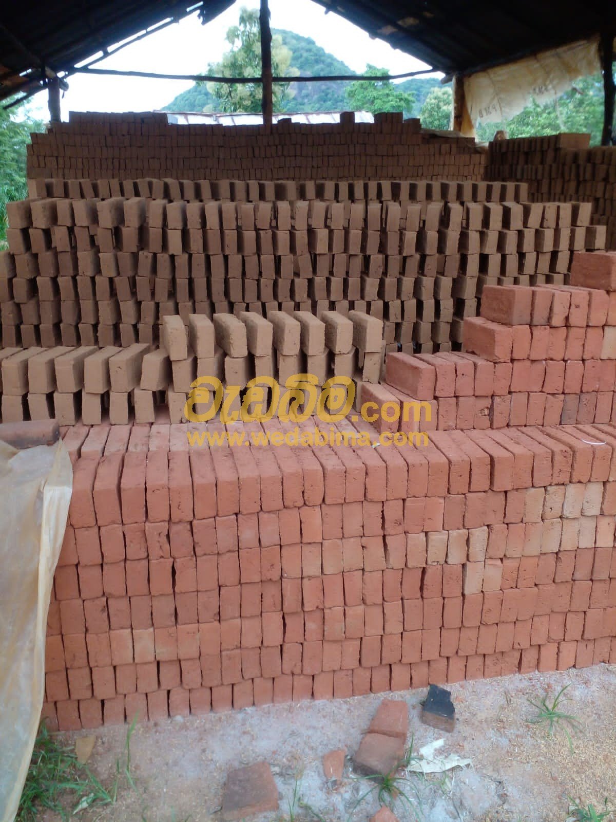 Cover image for Clay Bricks Price in Sri Lanka