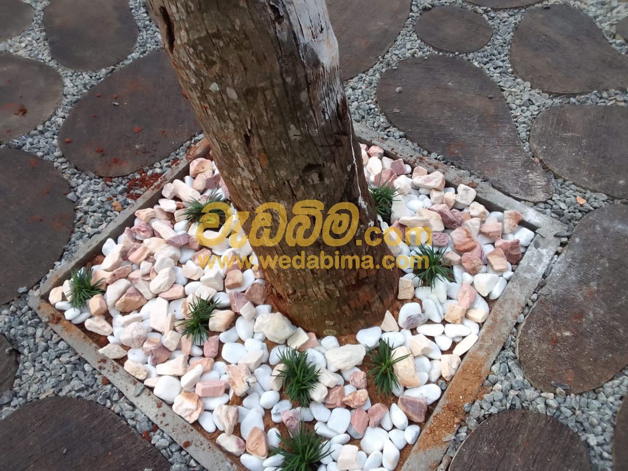 landscaping contractors in anuradhapura