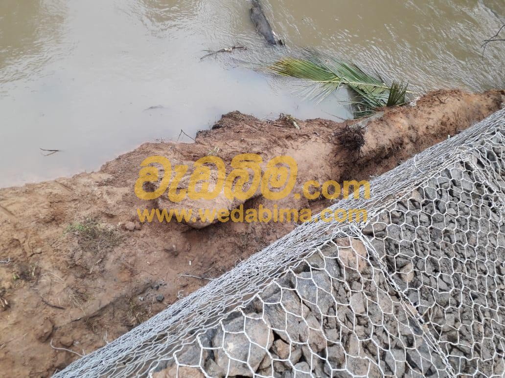 Other image 202403/wedabima.com_A3qQwwppuA0nPKfFyvdijvytjAYA61Zg26dtaJJi.jpeg