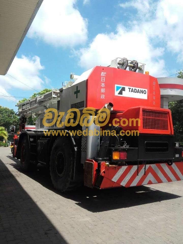 Other image 202403/wedabima.com_p0LdYsfCectBQ6qq6bpizeFFdPctoFwEkBbG4yxI.jpeg