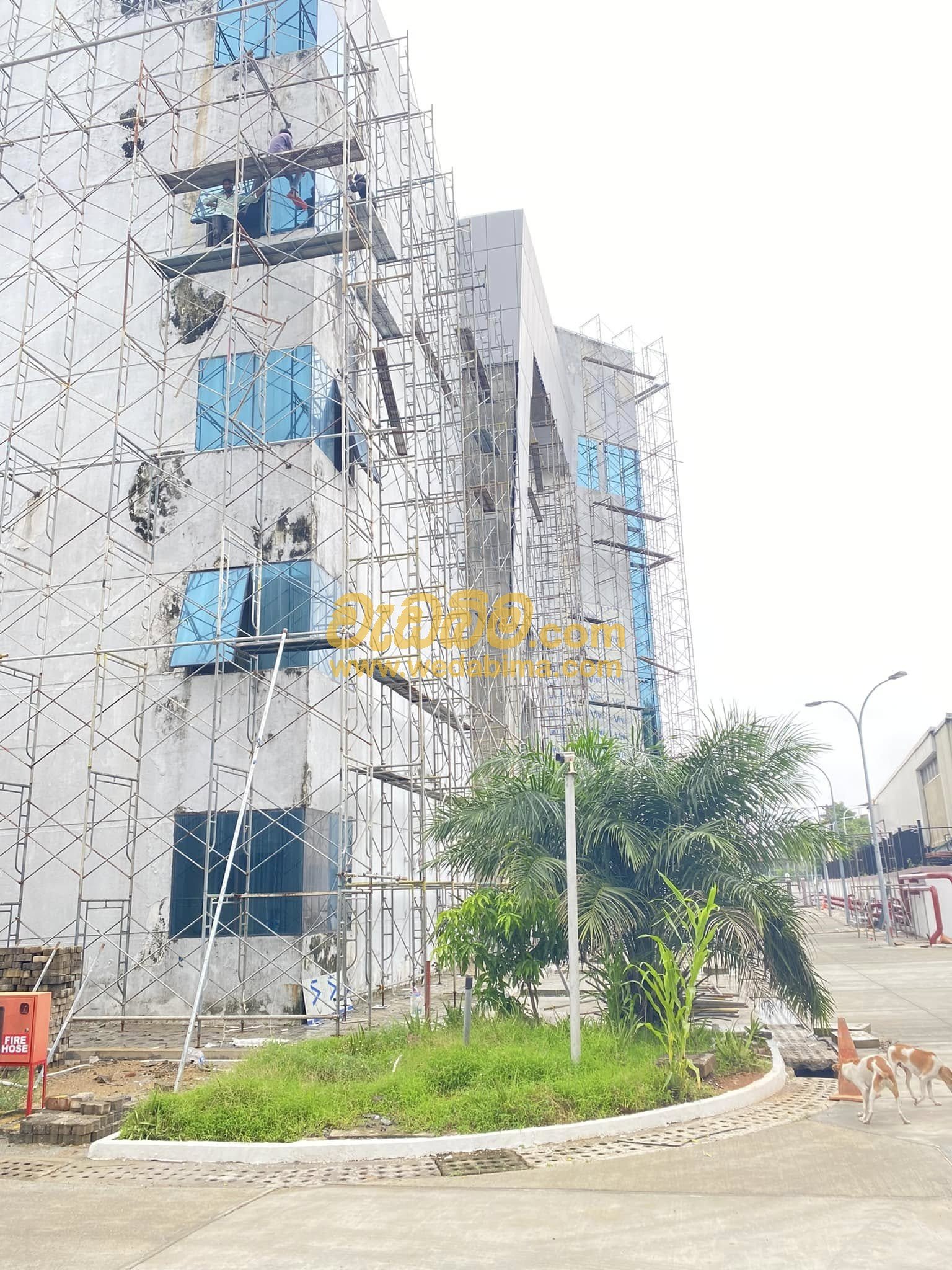 Other image 202412/wedabima.com_eC7or0ugbWYqGjfxY3D5ypU6m8qHuSYrKdcORvh5.jpeg