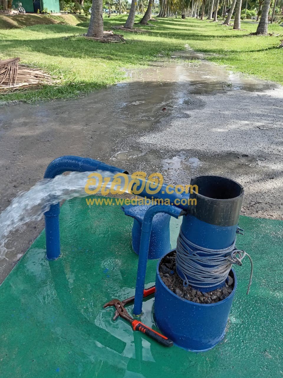 Other image 202502/wedabima.com_GTEWk7JmBhxxr1WDgUK048gywsmrxMZWTgCitL9L.jpeg