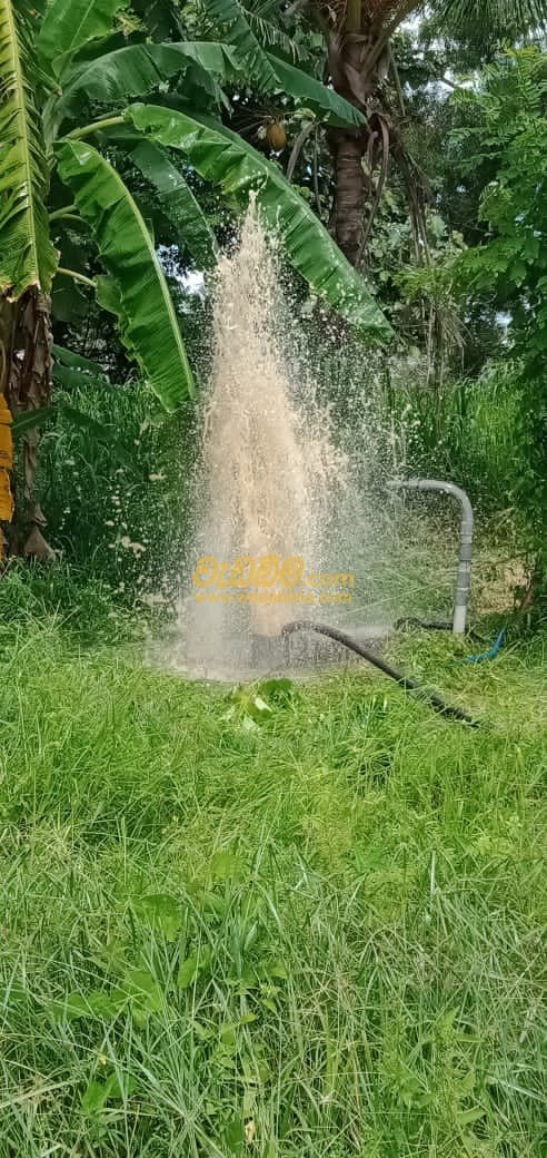 Other image 202502/wedabima.com_LALSI5dMd1T06BDgzO8pC1lwPp88q5YpFJ9onEee.jpeg