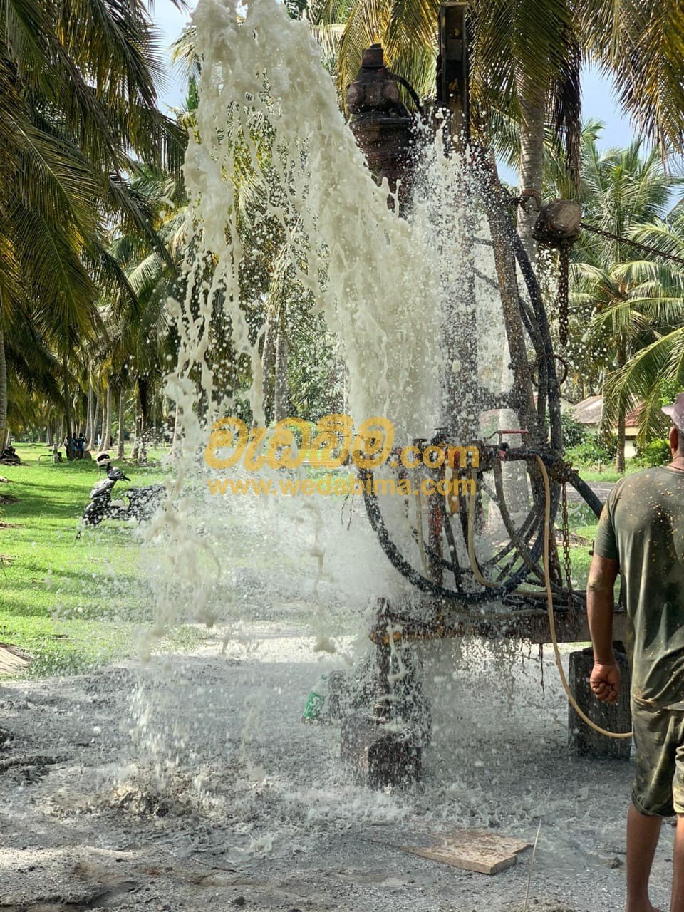 Other image 202502/wedabima.com_uIKAbQvEUYa9C2rcGtKekpxTtT2VaXLWKPGRzfmY.jpeg