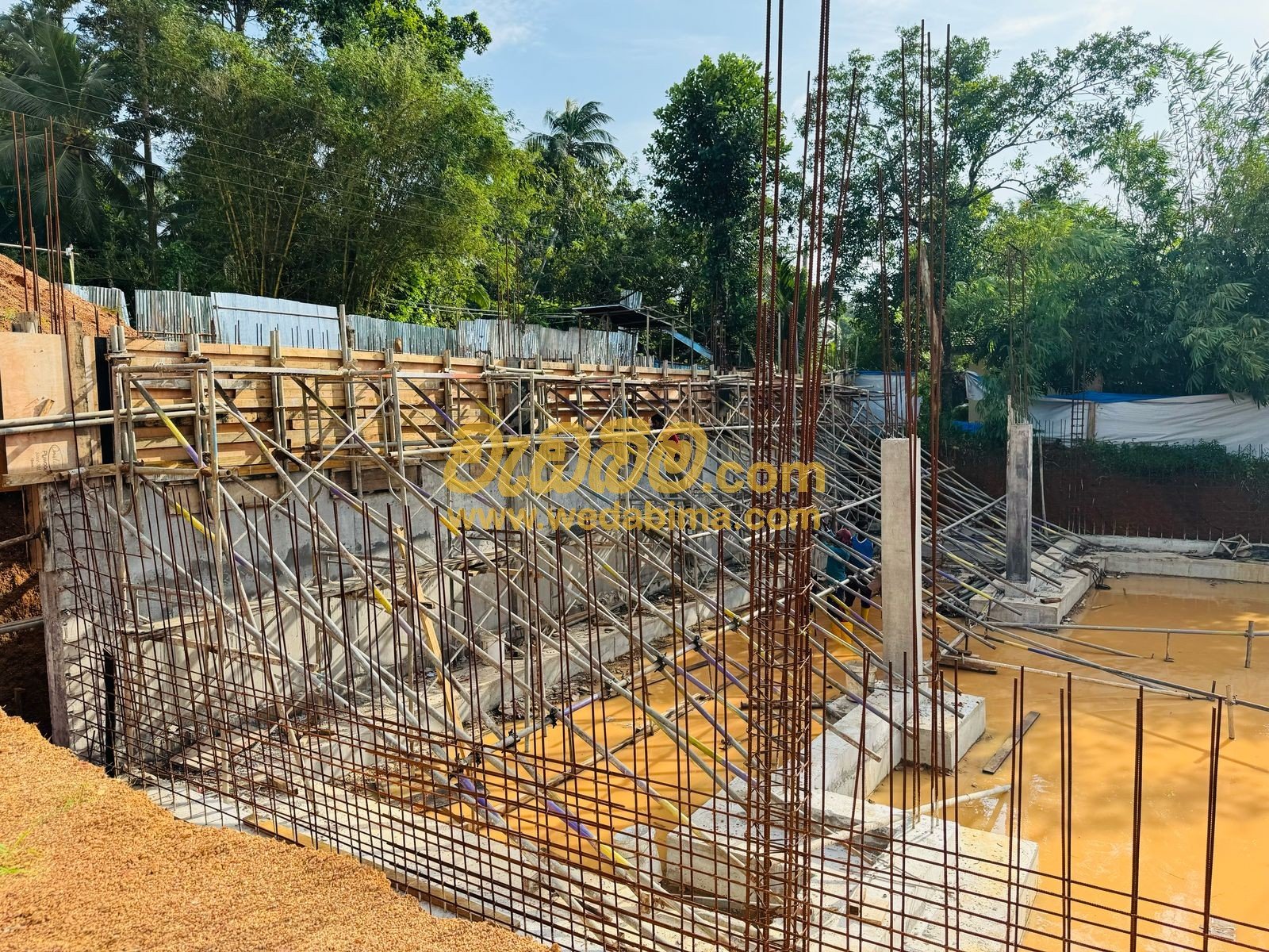 Other image 202503/wedabima.com_oAgXMMVLQLwI3KyAikr0Sj2xcdLz648aGdHaMFVv.jpeg