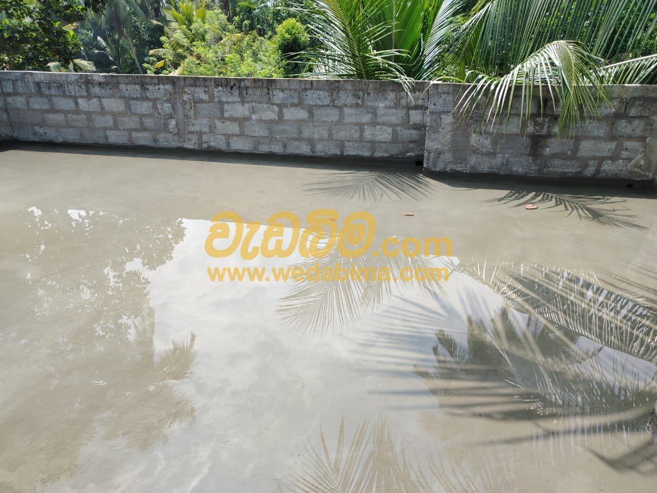 Other image 202504/wedabima.com_2NPESXXEdlaipvuL8PyNslLauIOaXo5rIUu3BW5k.jpeg