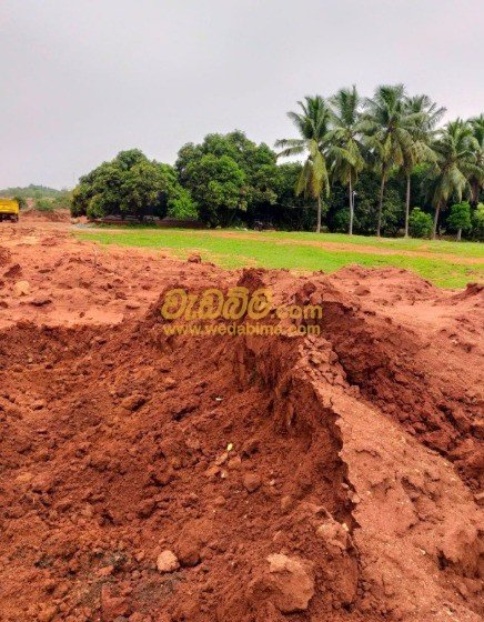 Other image 202507/wedabima.com_5oVlXQjG1ZxPspY5iFvlCy1Twt0GEtVHJkca08M6.jpeg