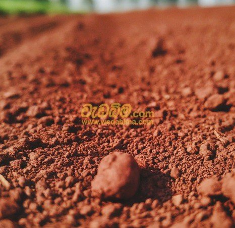 Other image 202507/wedabima.com_LQF5WP7ls3RgxT7ZkC9Z1esQnHeI78Jegt7rRthW.jpeg