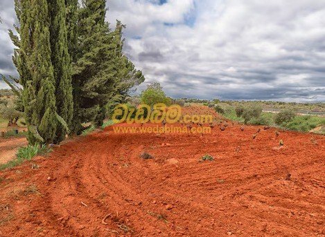 Other image 202507/wedabima.com_QxQrRuu99ye5HmCL6w3mmHNBmbmNsvaUmNtvwp9V.jpeg