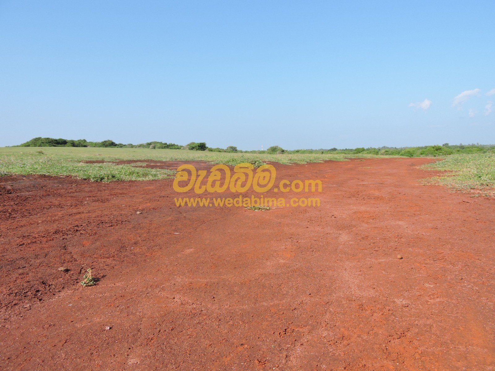 Other image 202507/wedabima.com_VkfZNPt4NY0hJYKy4zTTHwKmu1wjWp8s4U3pVNeb.jpeg