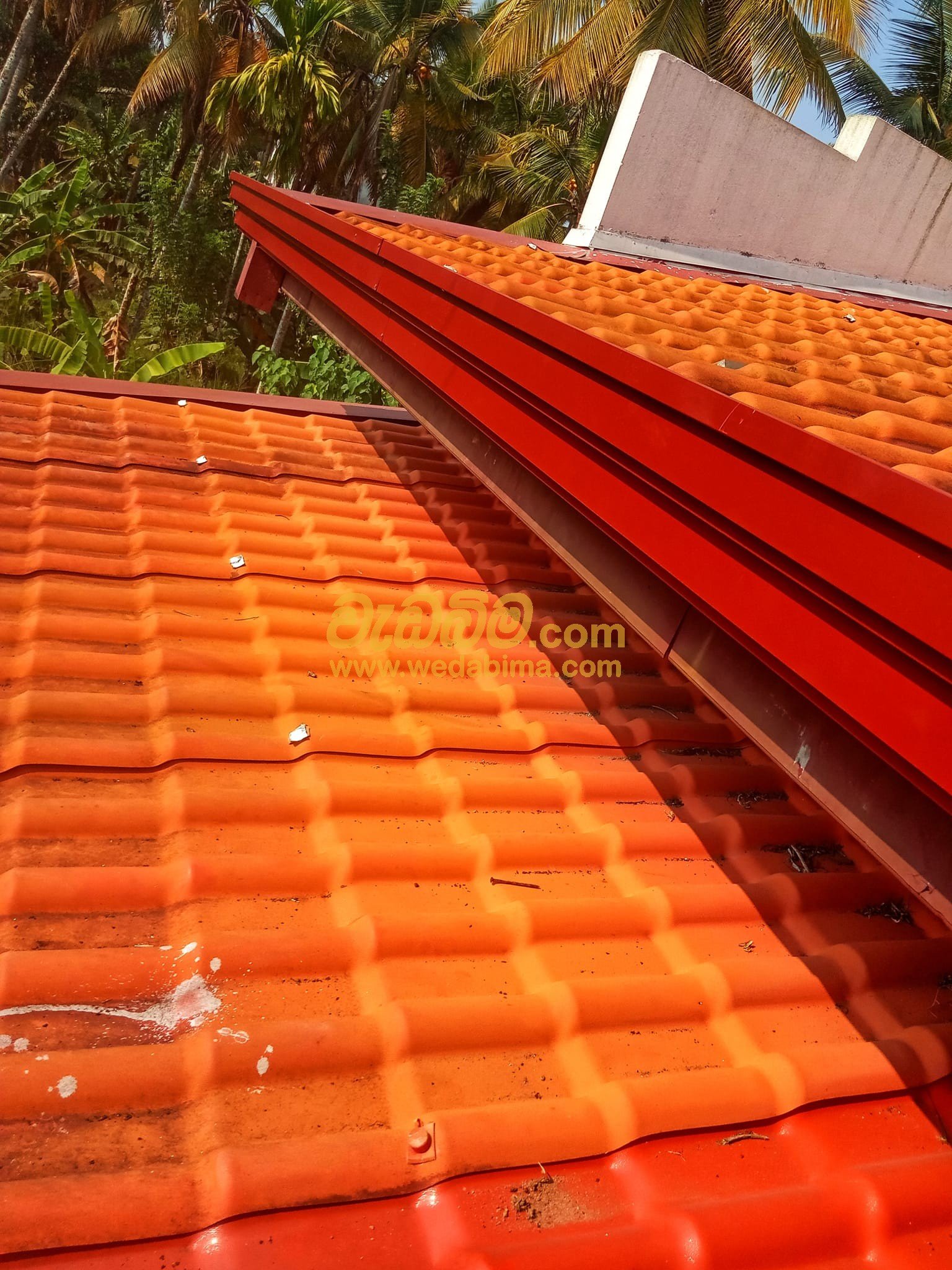 Other image 202507/wedabima.com_YGurGSTjDmUa4aTv0GR4s7yBPo7ICqTxqAIXWHJ7.jpeg