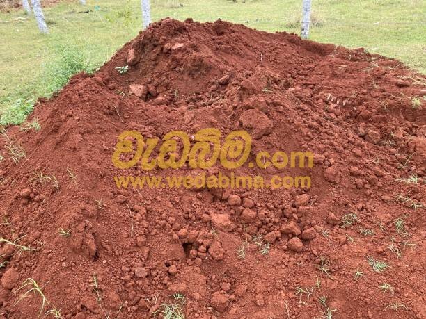 Other image 202507/wedabima.com_m1eIWD4y2tJhlhA5AGPP3ur79UA4o3pp4i8zkXbw.jpeg